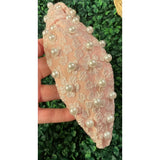 Pearl Brocade Headband - Greige Goods